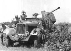 ACE 72573 3,7cm Flak 36 Auf Fahrgestell MZgKw 5t Sd.Kfz. 6/2 15 ACE 72573 3,7cm Flak 36 Auf Fahrgestell MZgKw 5t Sd.Kfz. 6/2 -Toy Model Store 41972 3